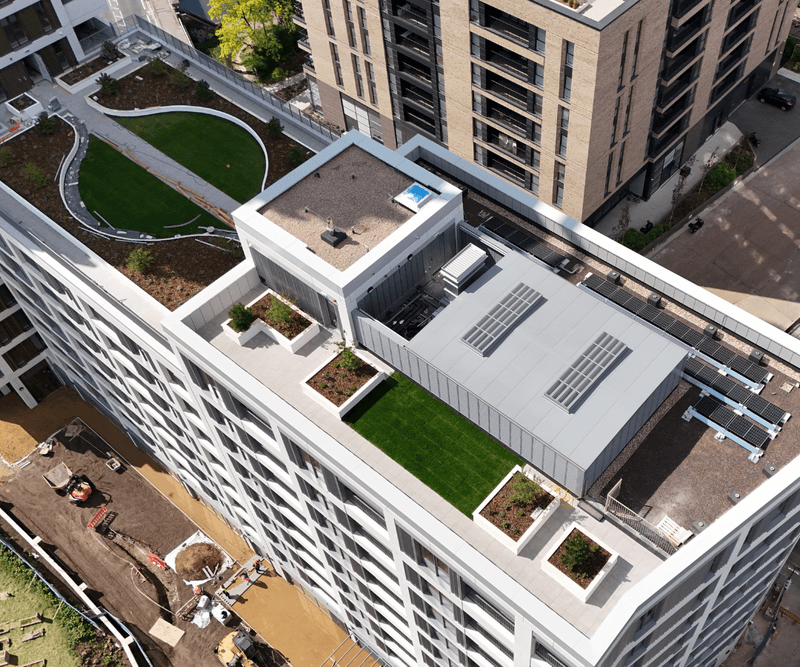 Rooftop communal garden